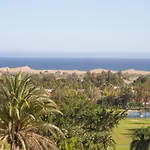 In Maspalomas Near Golf Course *