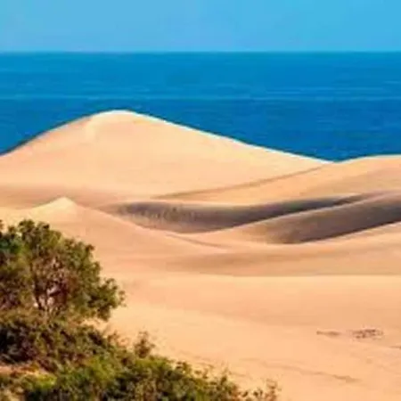 In Maspalomas Near Golf Course Feriehus
