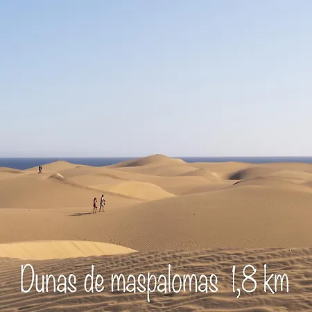 In Maspalomas Near Golf Course San Bartolomé